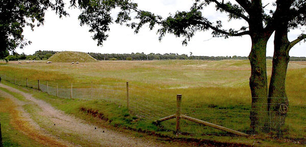 Sutton Hoo Hideaway - Burial Mound